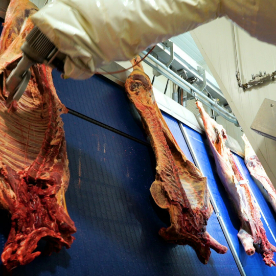 Beef Processing 1 1440x880